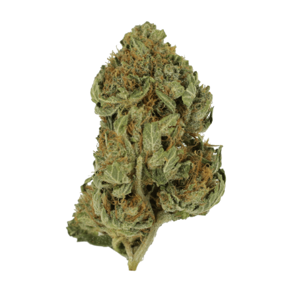 Bubblegum – 1 ounce | Bloom Supply Canada