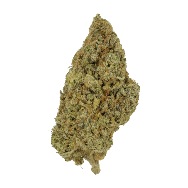 Grape Mimosa | Bloom Supply Canada