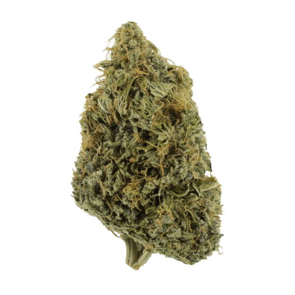 NYC Diesel | Bloom Supply Canada