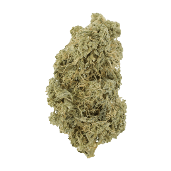 Blue Dream (Popcorn) | Bloom Supply Canada