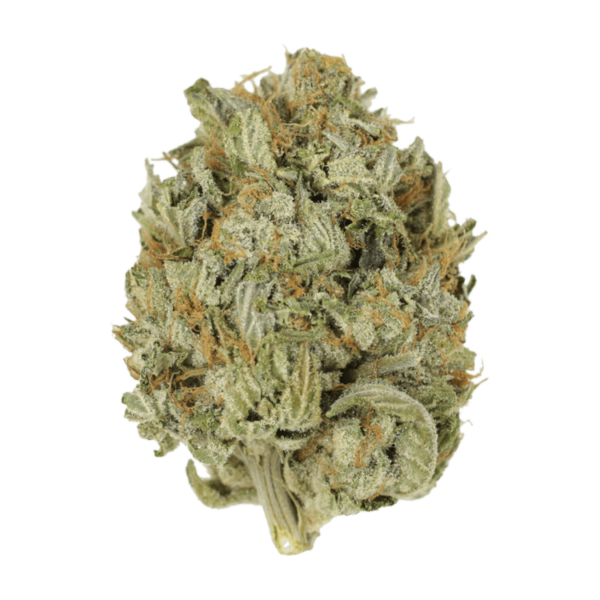 Blue Dream (Popcorn) | Bloom Supply Canada