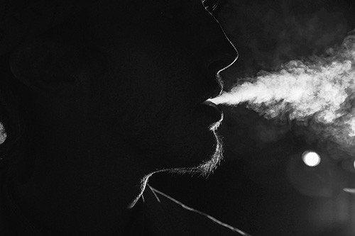 | Bloom Supply Canada The 70 Best Sativa Strains of 2017 that Will Make Your Head Buzz | Bloom Supply Canada