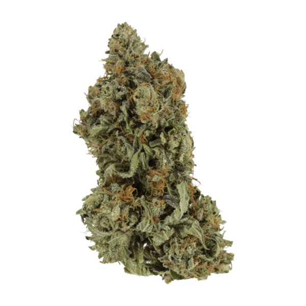 Bruce Banner #3 | Bloom Supply Canada