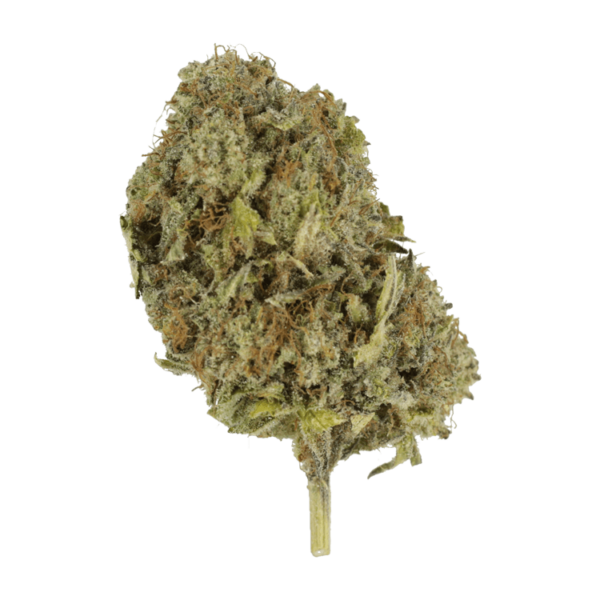 Chemo | Bloom Supply Canada