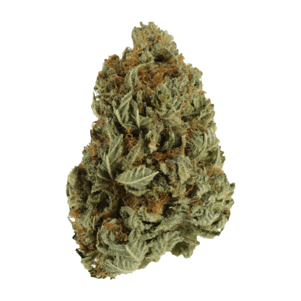 Ice Wreck – 1 ounce | Bloom Supply Canada