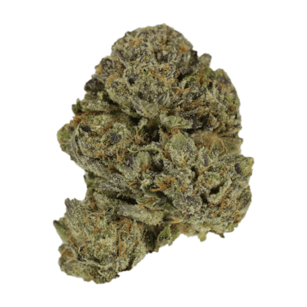 Lavender | Bloom Supply Canada