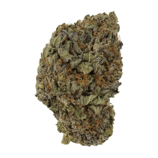 Black Diamond | Bloom Supply Canada