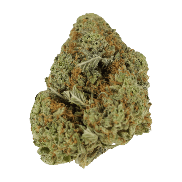 Mataro Blue – 1 ounce | Bloom Supply Canada