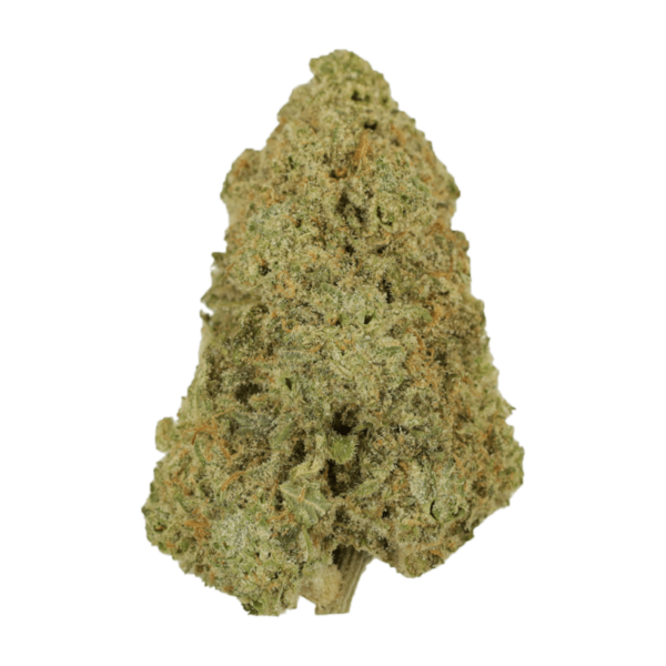 Super Silver Haze | Bloom Supply Canada