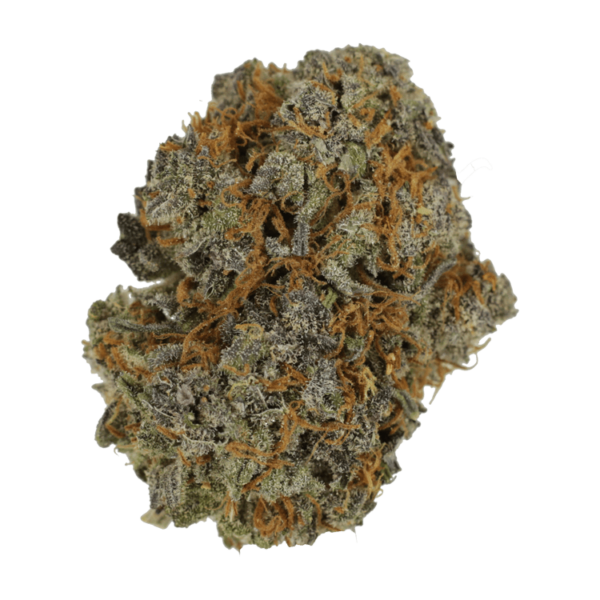 Jack Herer 1 Ounce | Bloom Supply Canada
