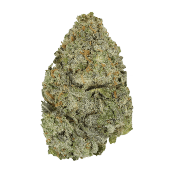Lemon Meringu- | Bloom Supply Canada