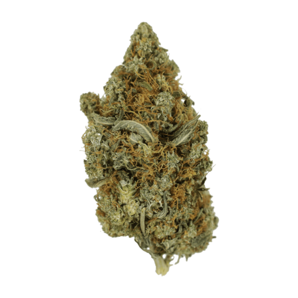 Jack Herer 1 Ounce | Bloom Supply Canada