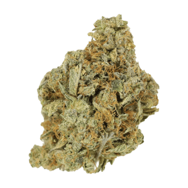 Jet Fuel | Bloom Supply Canada