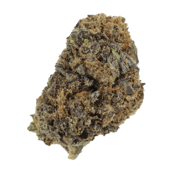 Jet Fuel | Bloom Supply Canada