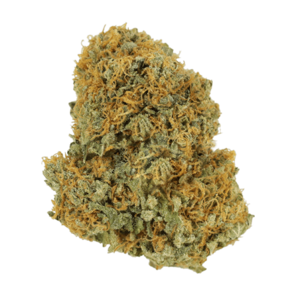 Jet Fuel | Bloom Supply Canada