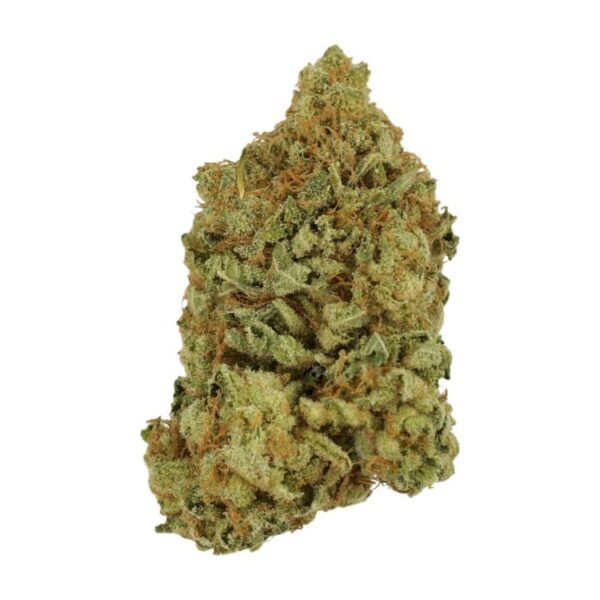 Blueberry | Bloom Supply Canada