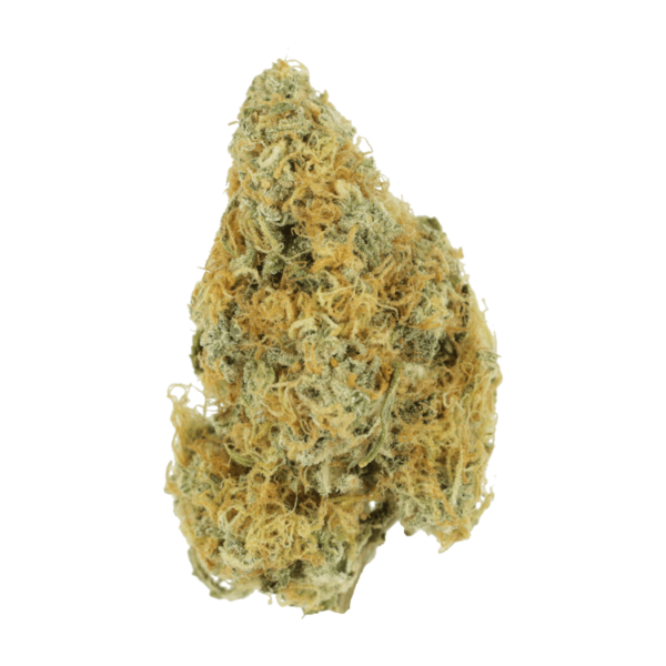 Alien OG (Popcorn) – 2OZ/$69 | Bloom Supply Canada