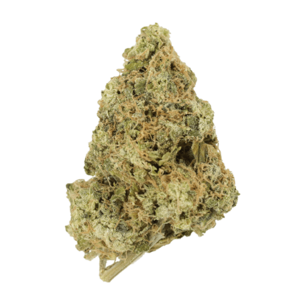 Zombie OG | Bloom Supply Canada