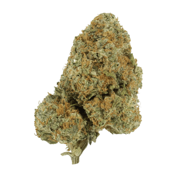 Blue Rhino | Bloom Supply Canada