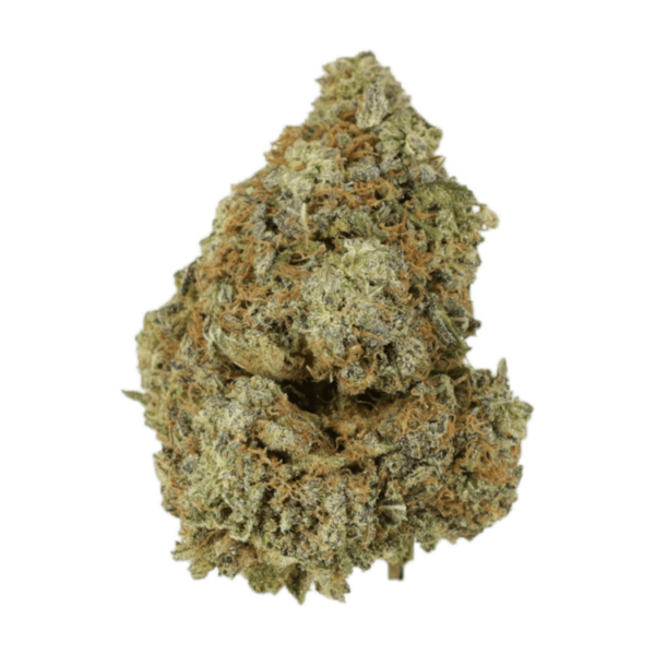 Granddaddy Purple | Bloom Supply Canada