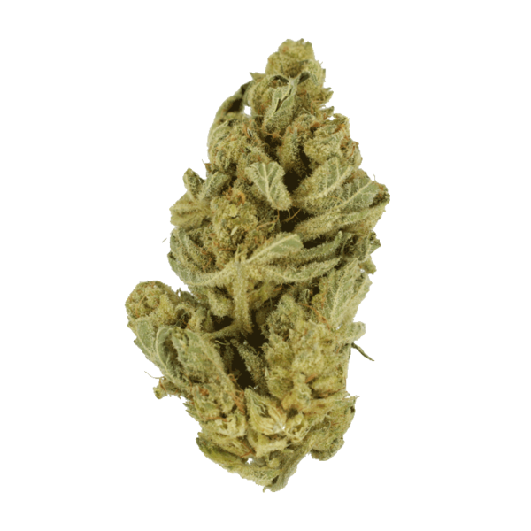 Hindu Kush – 7g | Bloom Supply Canada