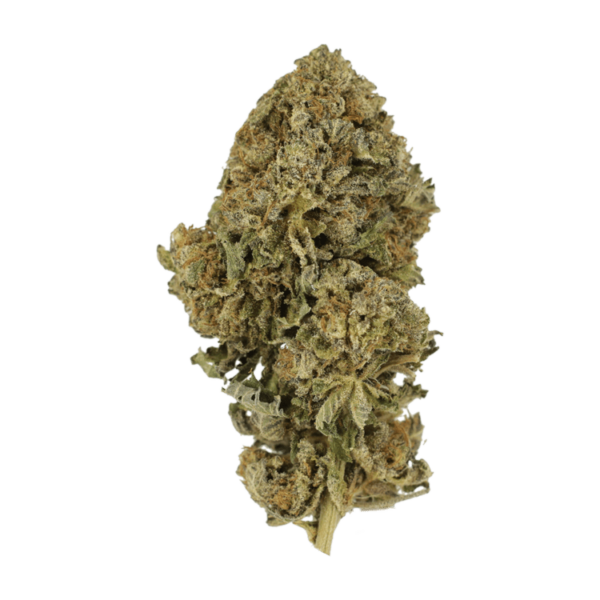 Durban Poison | Bloom Supply Canada