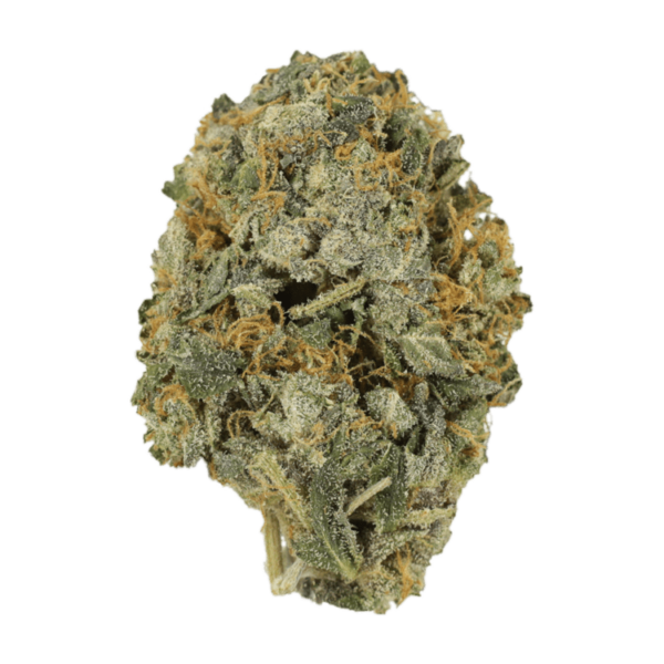 Cotton Candy | Bloom Supply Canada