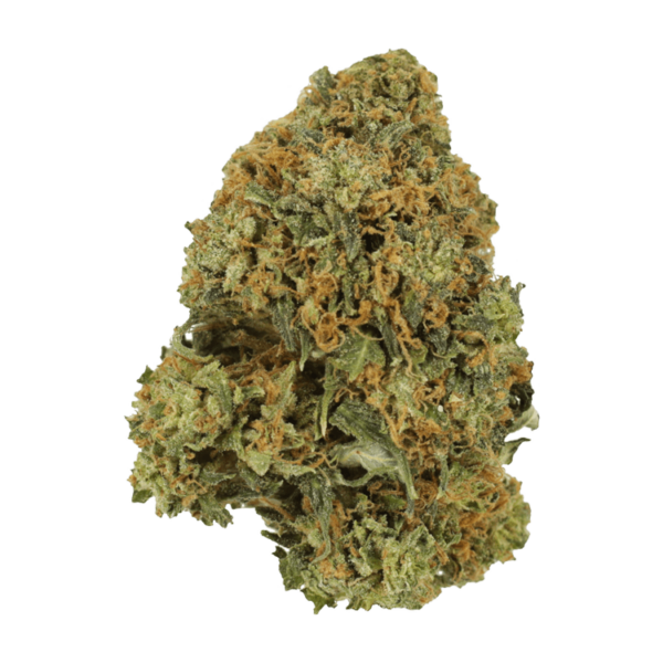 Durban Poison | Bloom Supply Canada