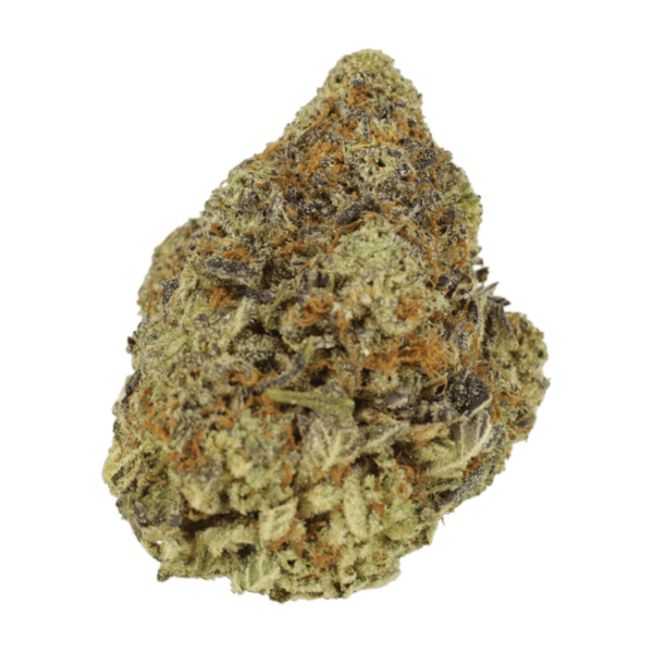 Durban Poison | Bloom Supply Canada