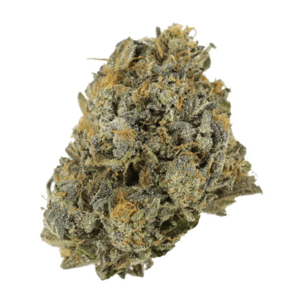 Cotton Candy | Bloom Supply Canada