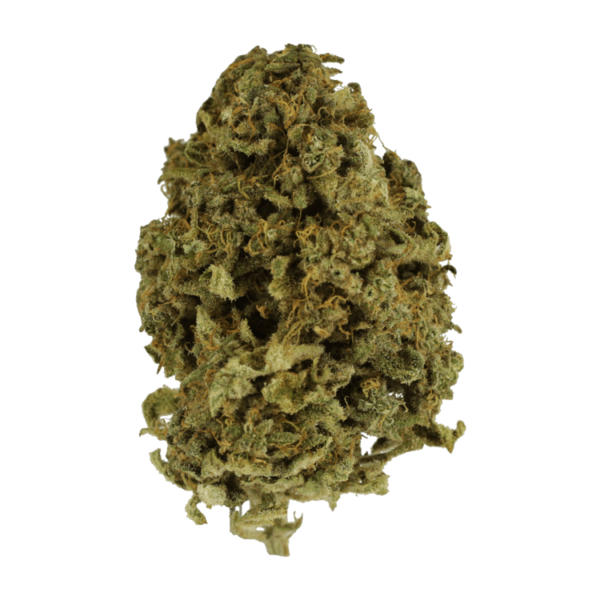 Nebula | Bloom Supply Canada