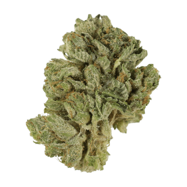 Northern Lights 2 for $69 | Bloom Supply Canada
