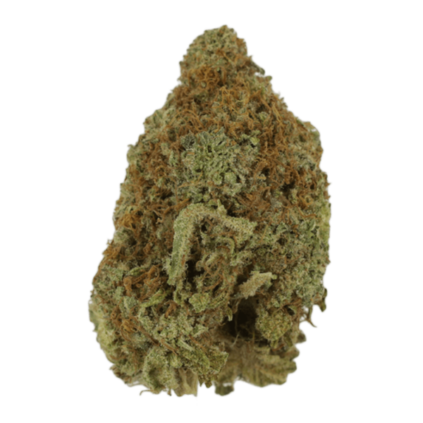Mango Haze | Bloom Supply Canada