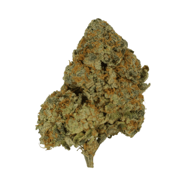 9lb Hammer | Bloom Supply Canada