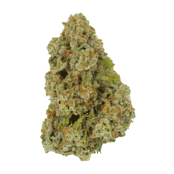 Colorado Diesel | Bloom Supply Canada