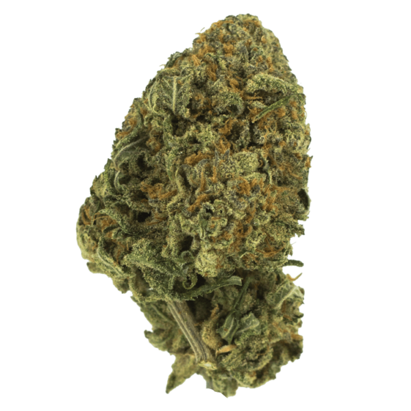 Black Nuken | Bloom Supply Canada