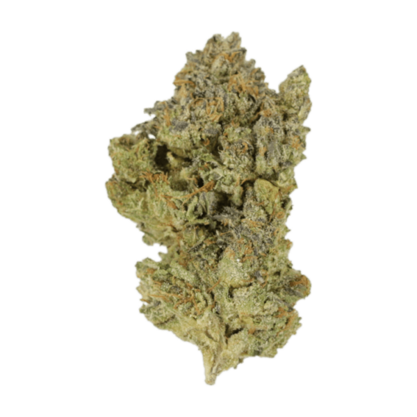 Golden Goat | Bloom Supply Canada