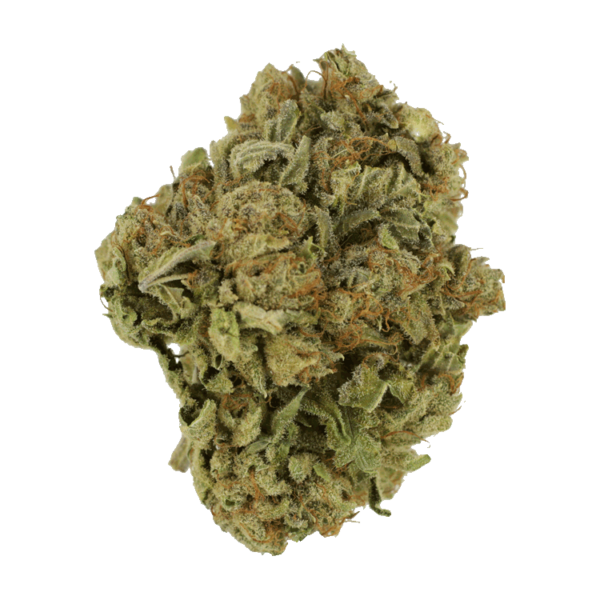 White Castle | Bloom Supply Canada