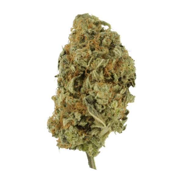 Lollypop – 1 ounce | Bloom Supply Canada