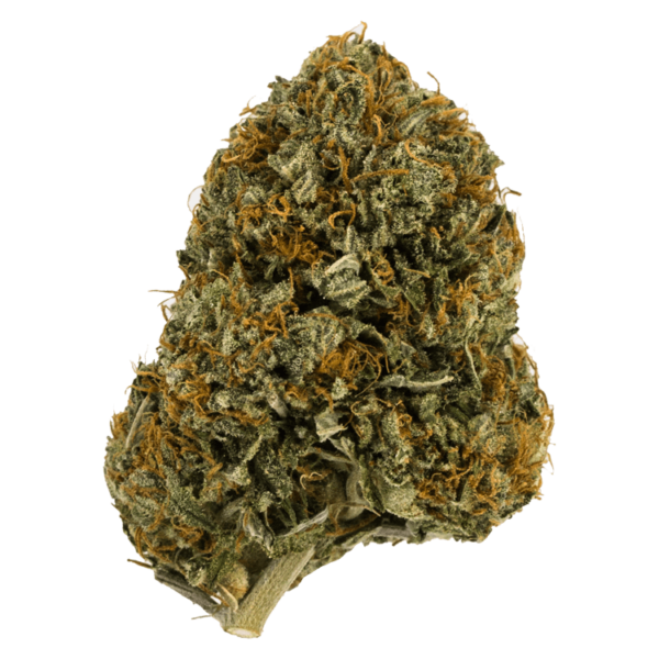 Wifi OG – 1 ounce | Bloom Supply Canada