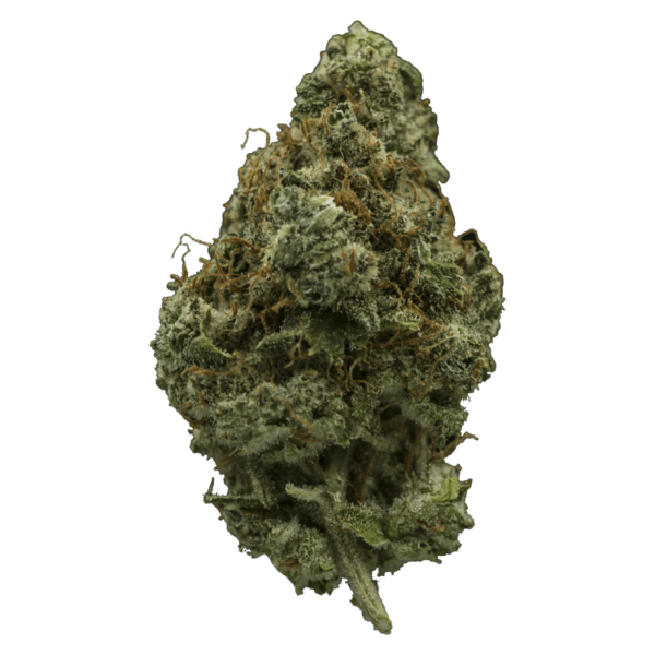 El Fuego | Bloom Supply Canada
