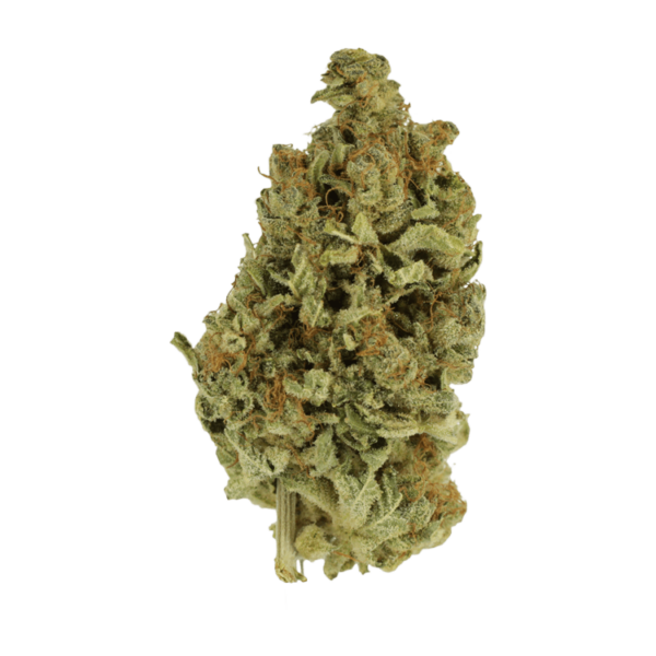 Cali Gold | Bloom Supply Canada