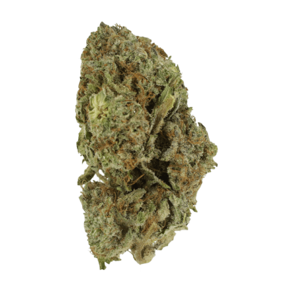 Gelato Sorbet – 1 ounce | Bloom Supply Canada