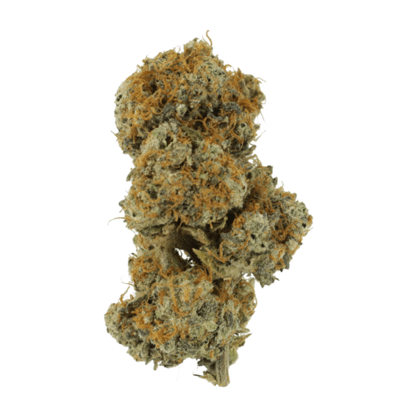 Stripper Spit | Bloom Supply Canada