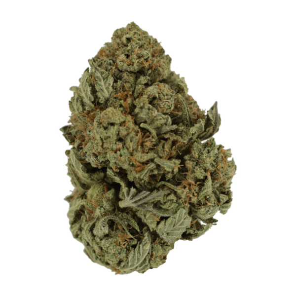 Master Kush Ultra | Bloom Supply Canada