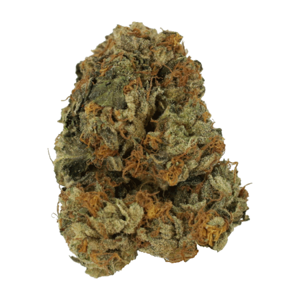 Dolato – 1OZ | Bloom Supply Canada