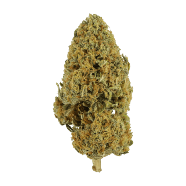 Grapefruit – 1 ounce | Bloom Supply Canada