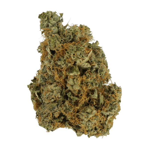 Tangelo – 1 ounce | Bloom Supply Canada