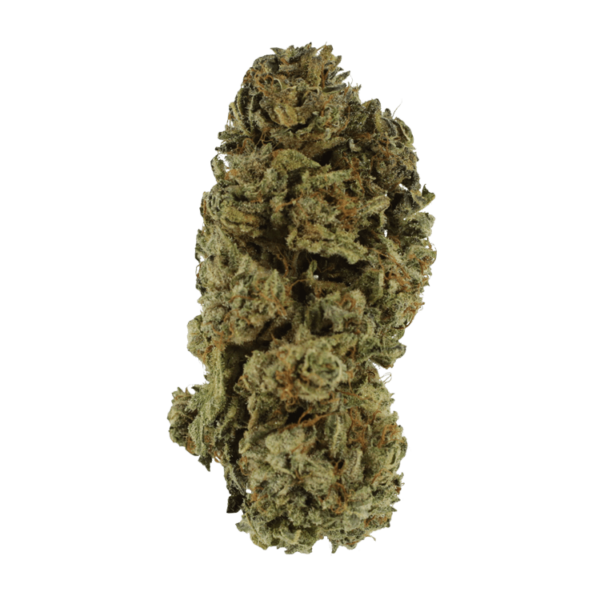 Black Kush – 1 ounce | Bloom Supply Canada