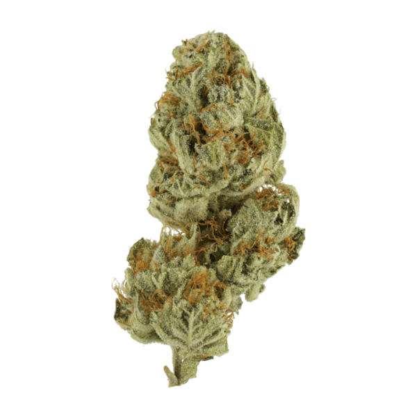 Strawberry Glue | Bloom Supply Canada